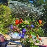 Alojamento de Acomodação e Pequeno-almoço Bienvenue Chez Lilaroma 3*