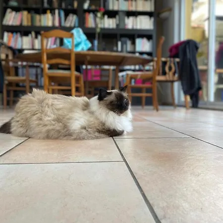 Bienvenue Chez Lilaroma