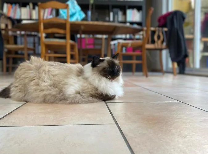 Bienvenue Chez Lilaroma